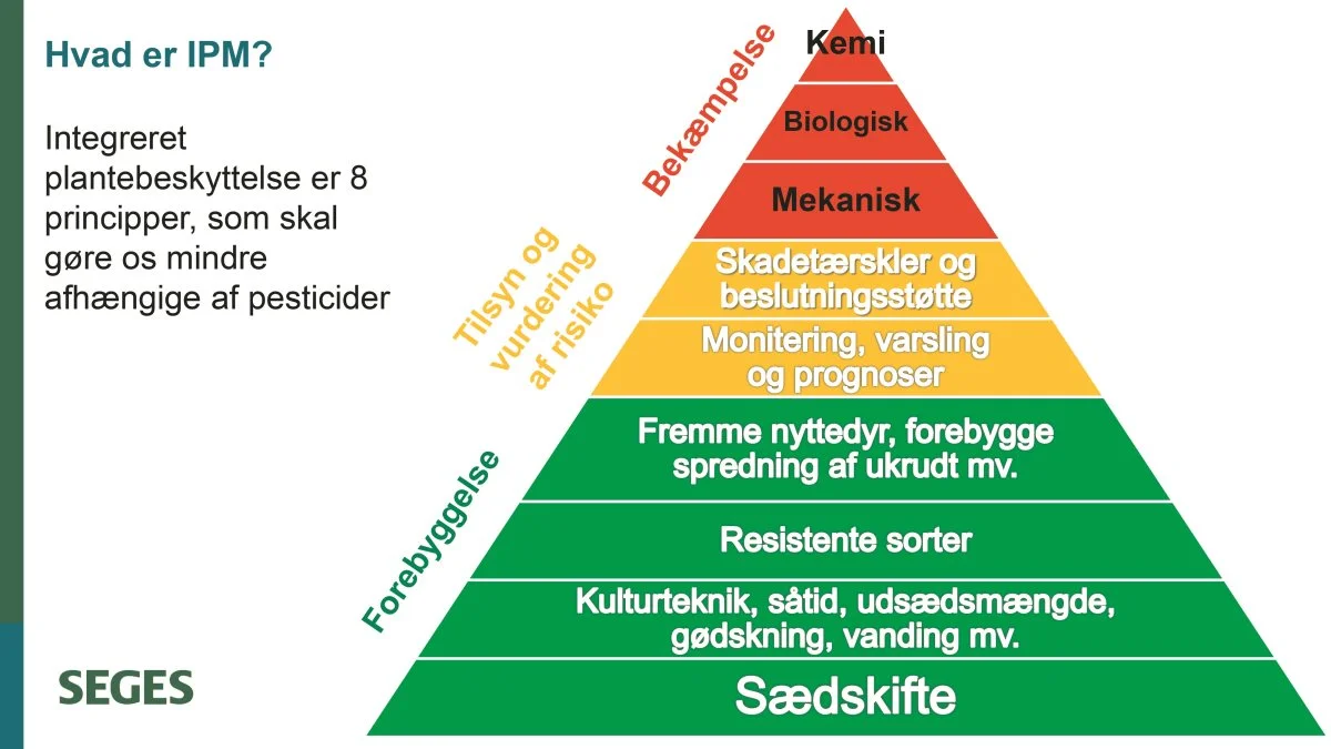 Med integreret plantebeskyttelse starter man med virkemidler fra bunden af pyramiden og bruger mindst muligt i toppen. Kilde: Seges