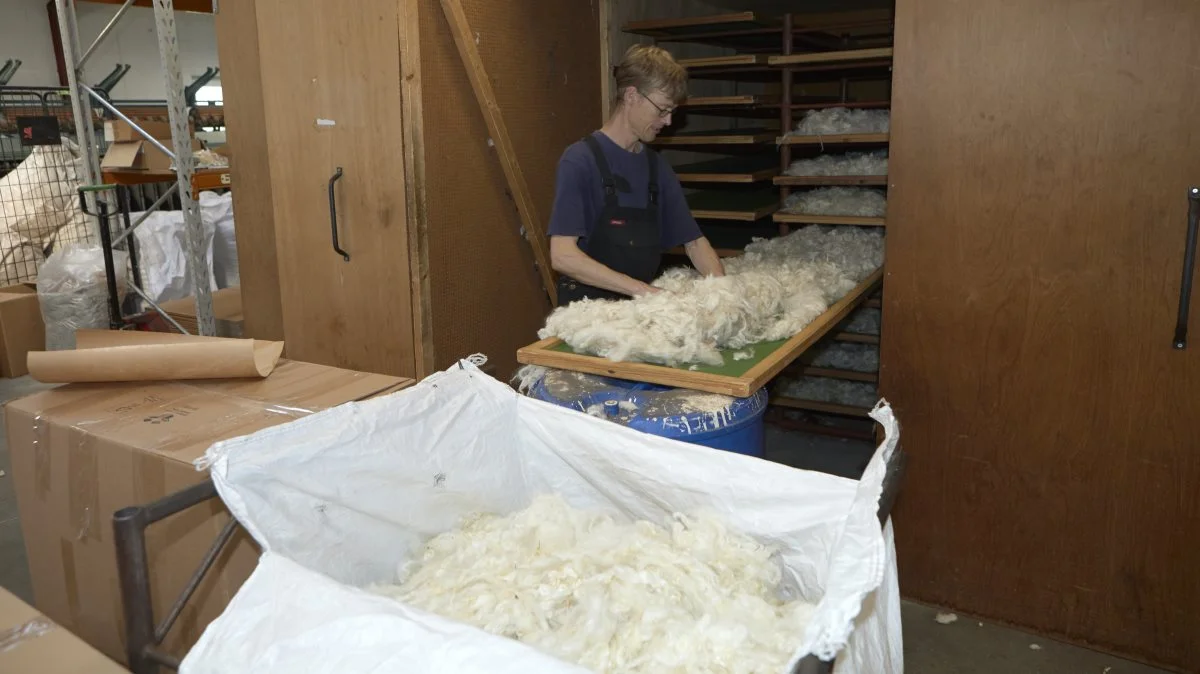 Ulden fra uldspinderiets egen store besætning og fra andre fåreavlere forarbejdes af de ialt 14 ansatte. Her er Morten Grimshave i gang med at tørre uld. Fotos: Erik Hansen