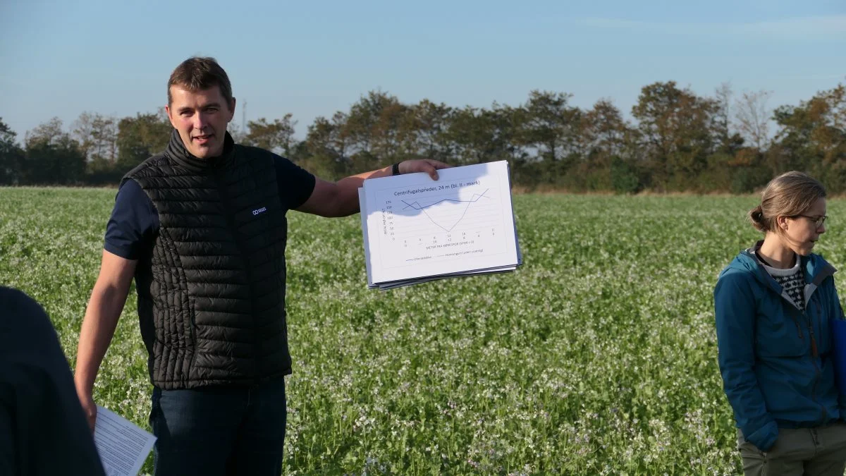 Landskonsulent Henning Sjørslev Lyngvig, Seges, er i færd med at udarbejde en Farmtest af udbringningsmetoder for efterafgrøder før høst. Bemærk for eksempel her, hvordan to efterafgrødearter i en blanding giver markant forskellige spredebilleder.