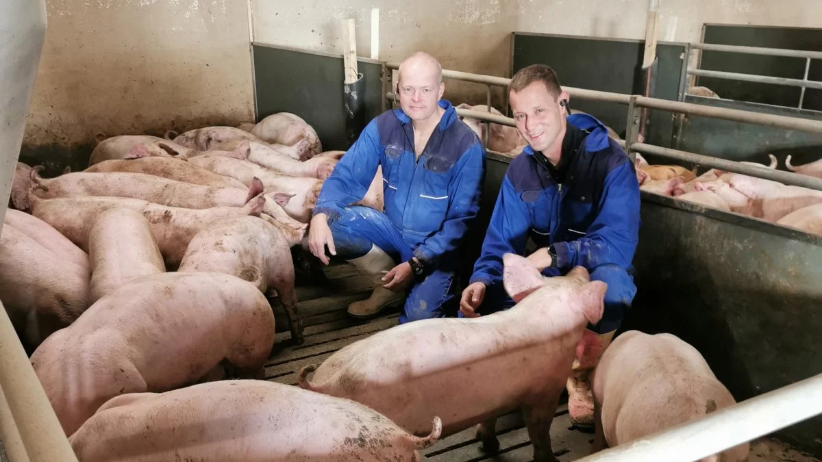 - På trods af de forskellige staldsystemer, så ligger vi med en forbløffende ens effektivitet, påpeger Flemming Kragh Thomsen, der her ses til venstre sammen med medarbejderen Martin, der har været ansat på gården i mange år og har det daglige ansvar for denne stald. Privatfoto