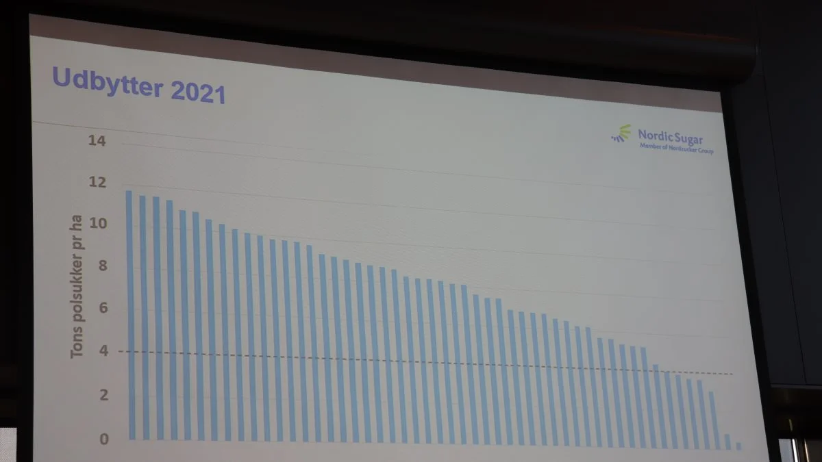 Udbytterne for alle økologiske sukkerroedyrkere i 2021 lå pænt, og kun for ganske få var det gået helt galt.
