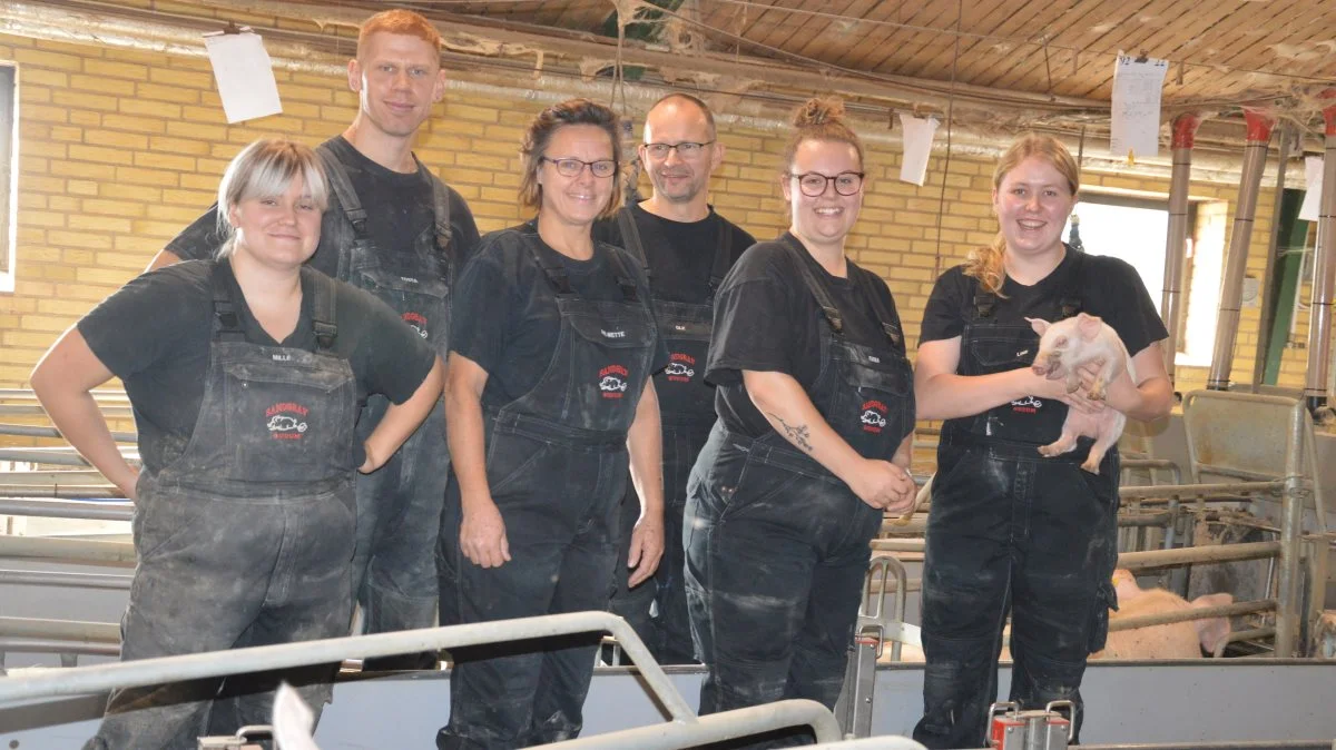 Teamet i smågriseproduktionen Sandgrav-Gudum brænder for arbejdet med og omkring grise. Her er alle samlet i farestalden. Fra venstre: Mille Jessen, Kostia Kulyk, Ane-Mette Sandgrav, Ole Sandgrav, Emma Olesen og Line Andreasen. Fotos: Camilla Bønløkke 