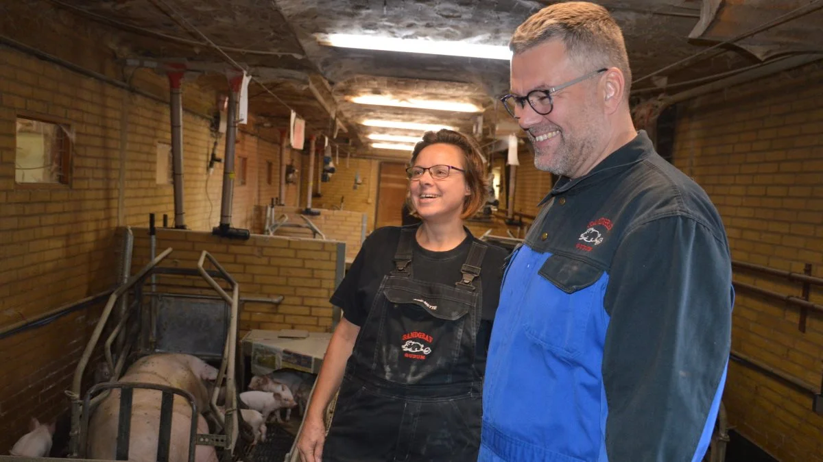 Det er Søren Jensen fra Danvit, der i tæt samarbejde med Ane-Mette og Ole Sandgrav udarbejder foderoptimeringerne til soholdet. Det har han gjort i de sidste to år.