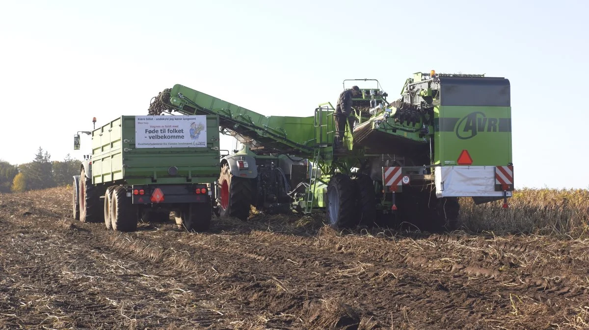 Weko Agro har været rundt i hele landet med deres kartoffeldemo. Fotos: Tenna Bang