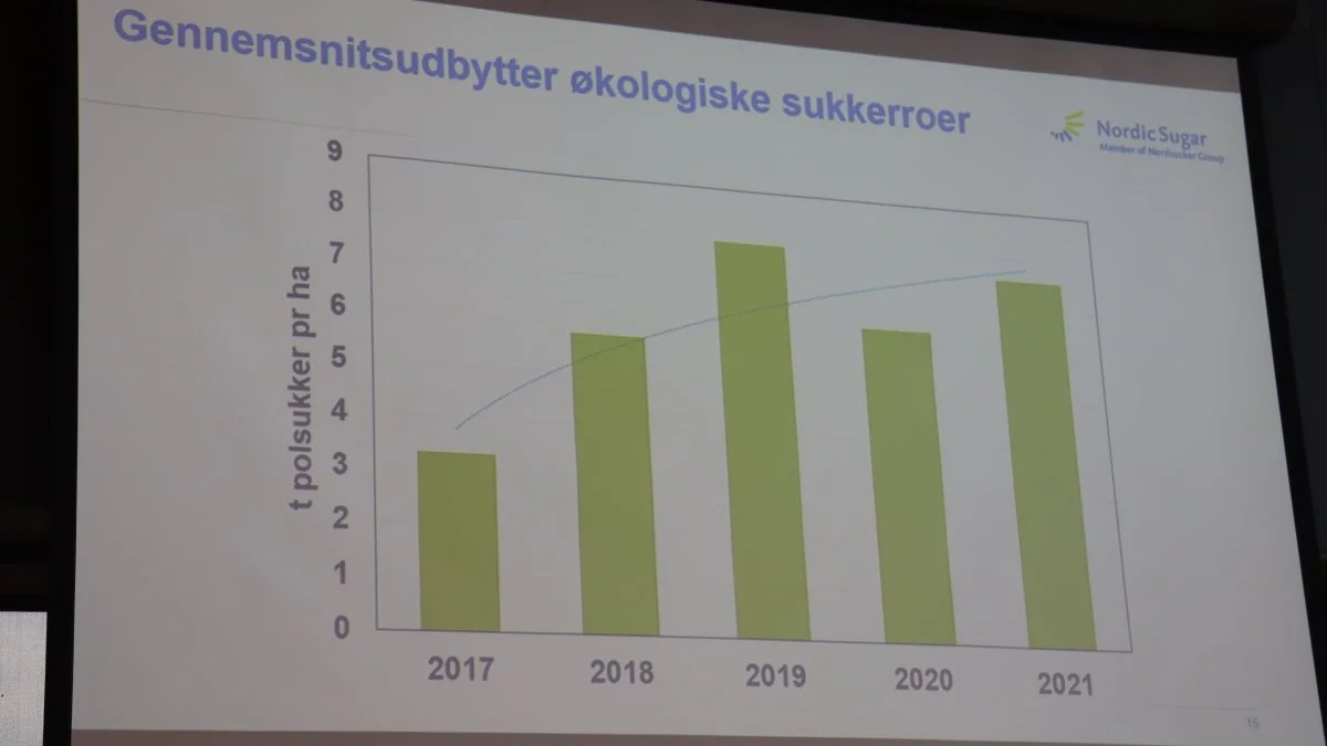 Siden starten af dyrkningen af økologiske sukkerroer i 2017 har udbytterne udviklet sig positivt.