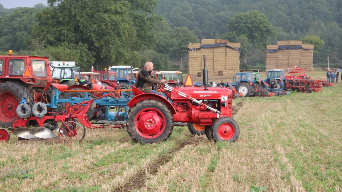Blandt de fynske deltagere ved DM i veteranpløjning er Holger Strøger Hansen, Assenbølle. Fra Fynspløjningen i september ses han med sin BM Victor traktor fra 1958 og den bugserede Fraugde plov. Foto: Erik Tvedskov   

