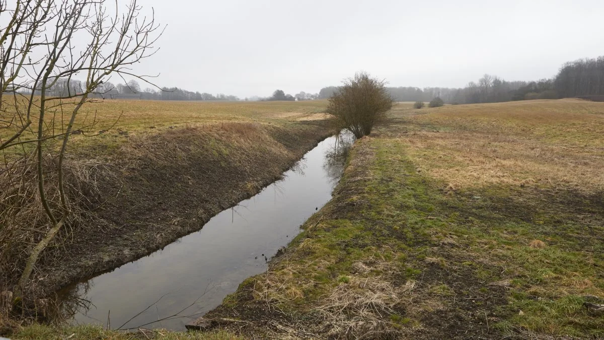 Vandmiljøet i Danmark lider. Men ifølge Knud Jeppesen og Bæredygtigt Landbrug er en af hovedsynderne udledninger af spildevand.