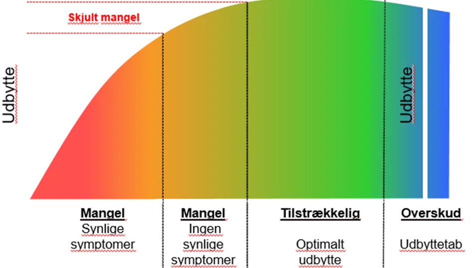 Den skjule manganmangel ligger mellem tilstrækkelig gødskning og synlig mangel. Kilde: Yara