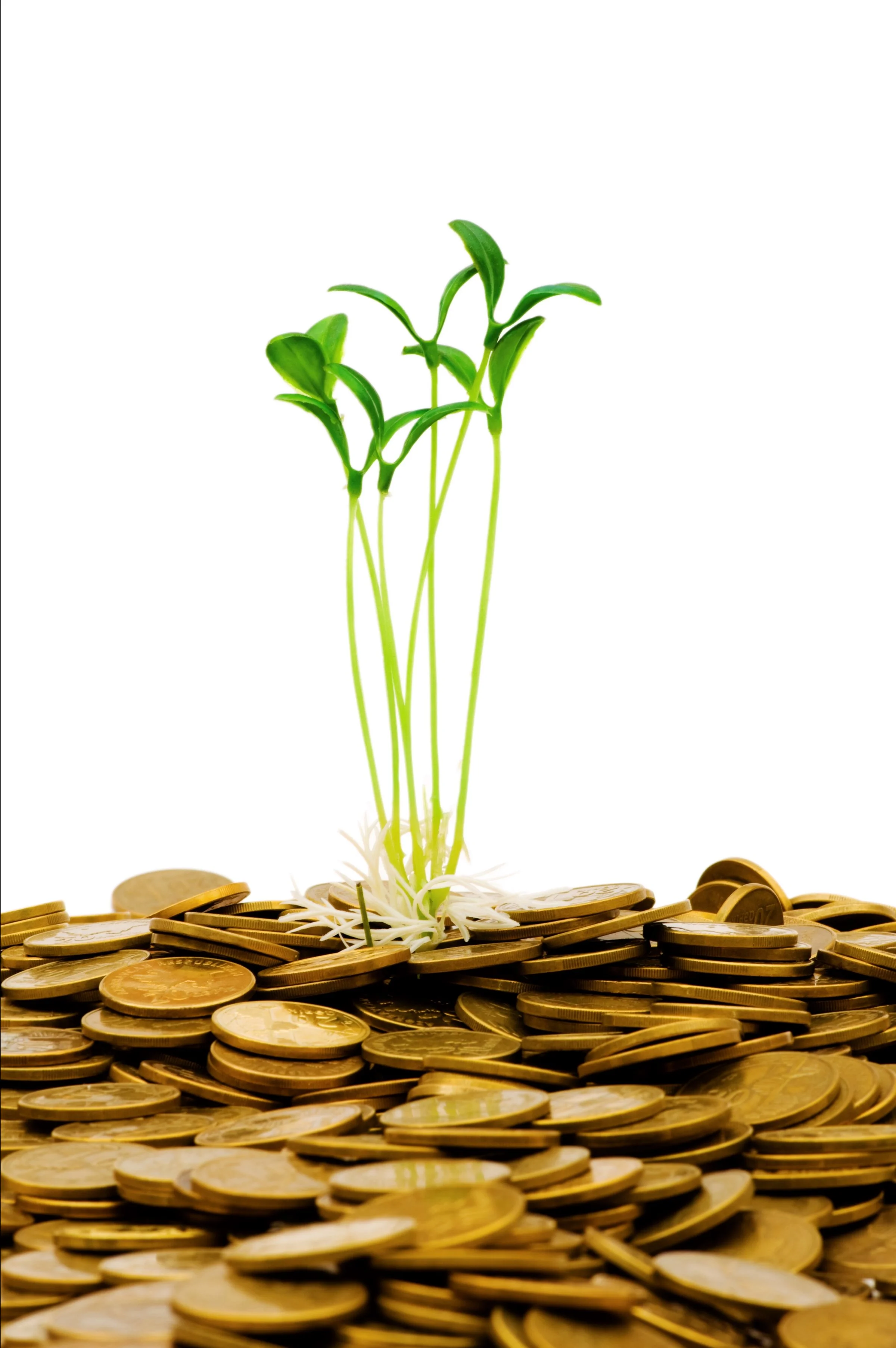 Bedre bæredygtighed på bedriften vil generelt også gavne økonomien. Foto: Colourbox