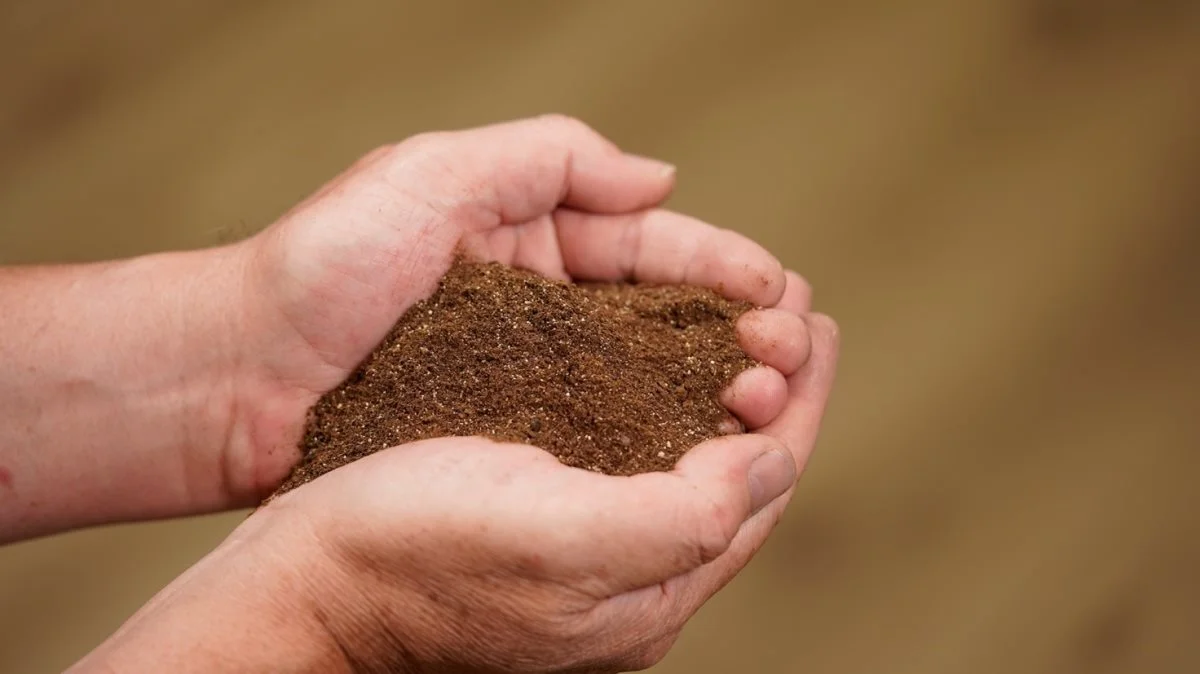 R2 Agro i Hedensted har store forventninger til det patenterede plantebaserede produkt Cabanin, som er en tredjedel billigere end syntetisk E-vitamin. Foto: R2 Agro