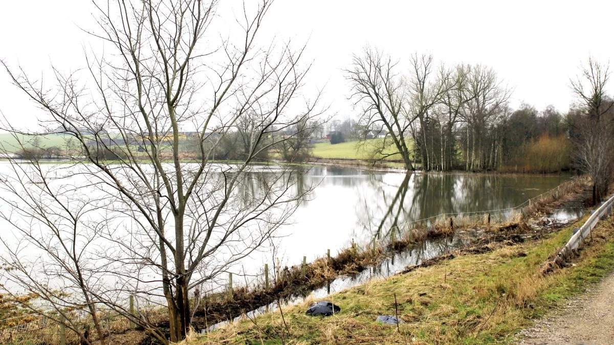 Ringsted Kommune har i flere år nu arbejdet på at rydde op i data for overløb, forklarer kommunaldirektør Mette Jeppesen. Arkivfoto: Jesper Hallgren