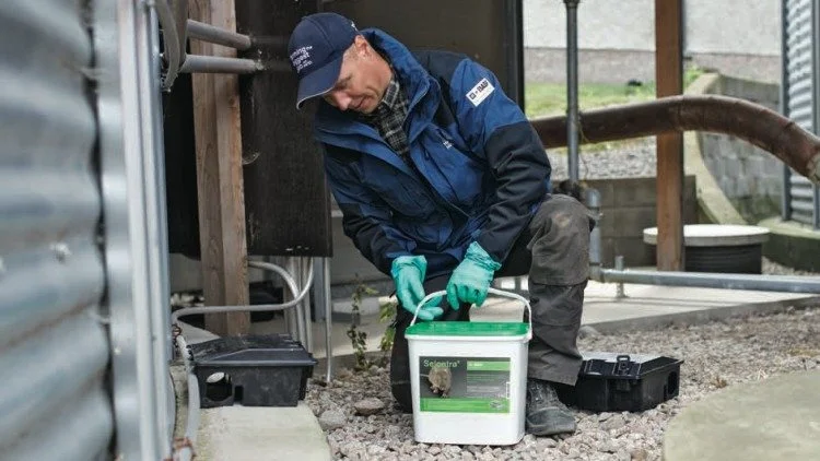 For at opnå en god effekt er det helt afgørende, at rotter og mus vil æde produktet. Foto: BASF