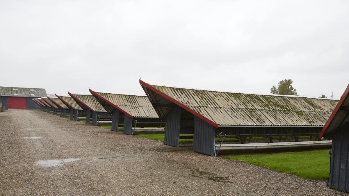 Som på alle landets øvrige 1.100 minkfarme står hallerne på Ellinge Minkfarm tomme og rengjorte, og venter på afklaring af kompensation og erstatning for erhvervets nedlukning for et år siden.
