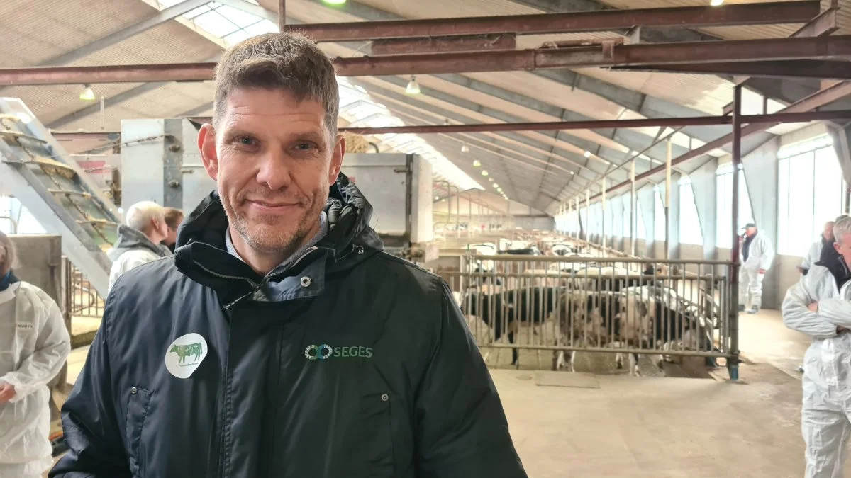 Der er et fornuftigt klimapotentiale i Future Beef Cross, fortæller projektleder Anders Fogh. Fotos: Henning K. Andersen