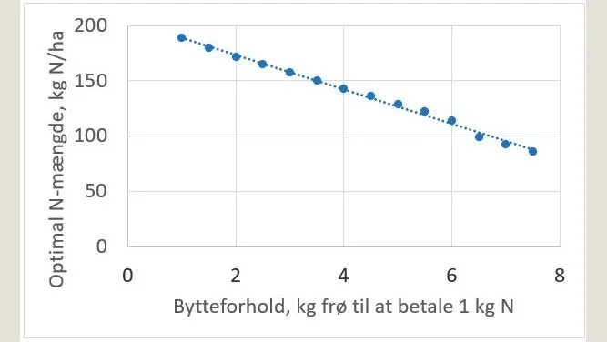 Betydning af bytteforholdet for den optimale kvælstofmængde i vinterraps. For hver ændring i bytteforholdet på 1 enhed ændres den optimale kvælstofmængde med 16 kg kvælstof pr. ha. Kilde: Seges