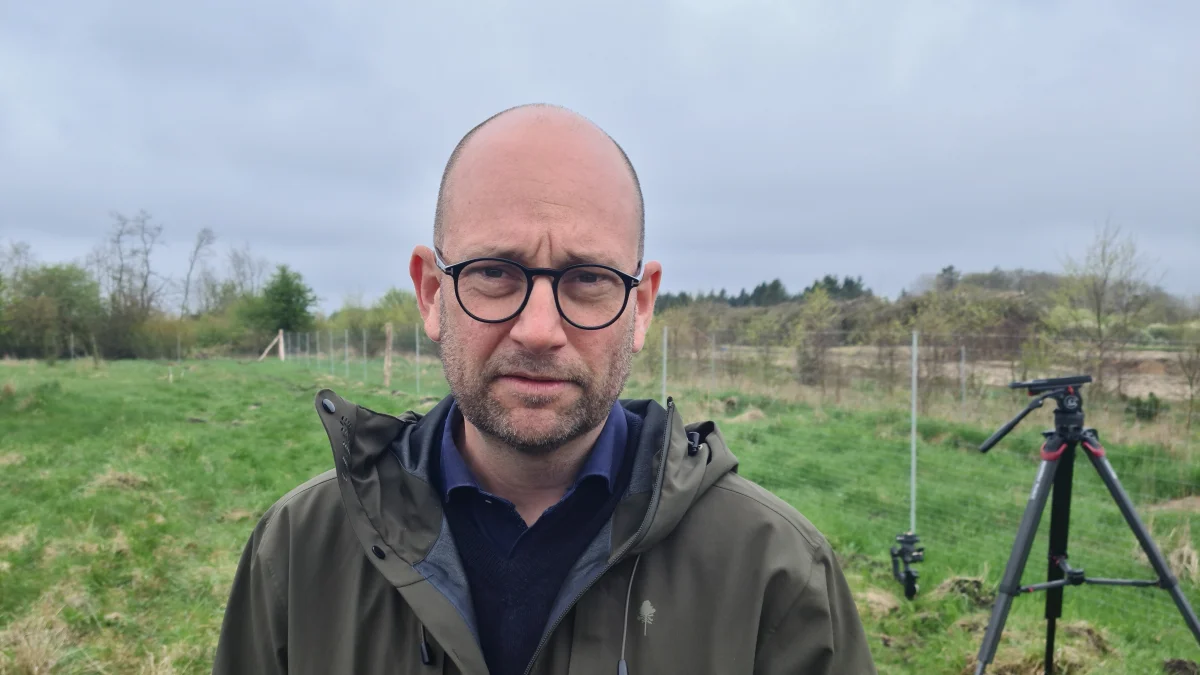 Hvad skal der ske med minkavl i fremtiden i Danmark? Det er fødevareminister Rasmus Prehn kaldt i samråd om onsdag i Folketinget. Foto: Henning K. Andersen
