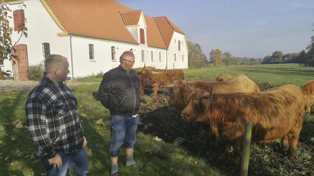 Fremtiden kan meget vel blive malkekvæg for sønnen Jesper Kristiansen. Der er allerede kreaturer på bedriften, i form af foreløbig 16 stykker Skotsk Højlandskvæg, som Jens-Arne Kristensen har gående ved Nygård i Ølsted. 


