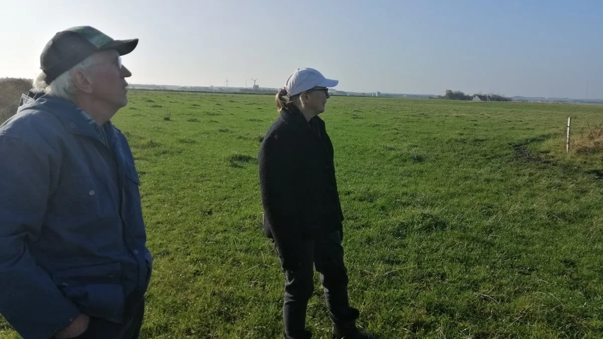 Ebbe og Jørga Hvelplund har 70 køer i deres lille økologiske landbrug. 