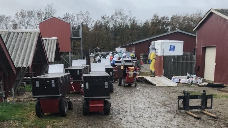 Fødevareministeriets udkast til bekendtgørelse for nedlukningserstatning til minkbranchen møder kritik for at være for uklart formuleret. Arkivfoto: Brian Langballe Kristensen