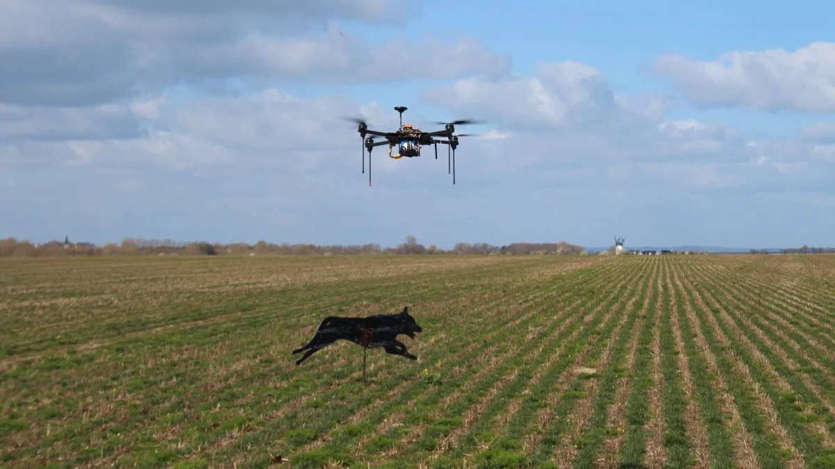Iværksætterne bag tror selv på, at deres drone kan blive ved med at skræmme fuglene væk fra markerne.