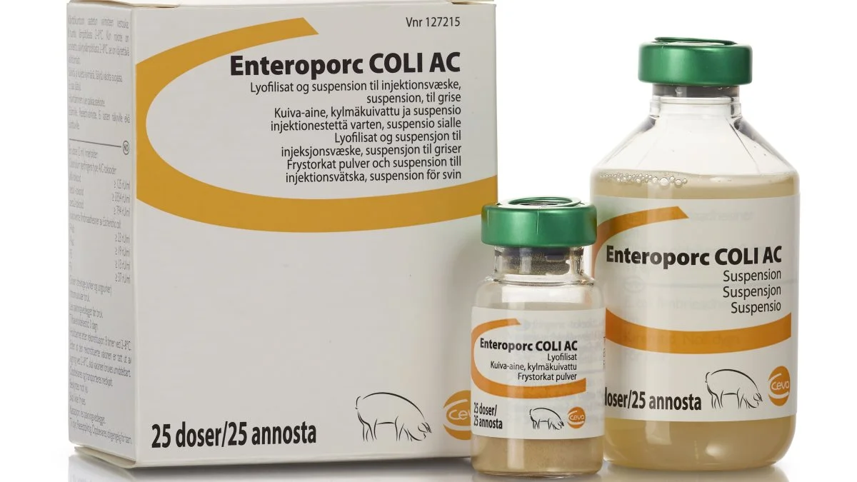 Den nye vaccine mod spædgrisediarré, Enteroporc COLI AC, dækker også mod Clostridium perfringens type A. Det er en fordel for blandt andre de landmænd,
der i dag bruger to vacciner for at opnå samme beskyttelse.
