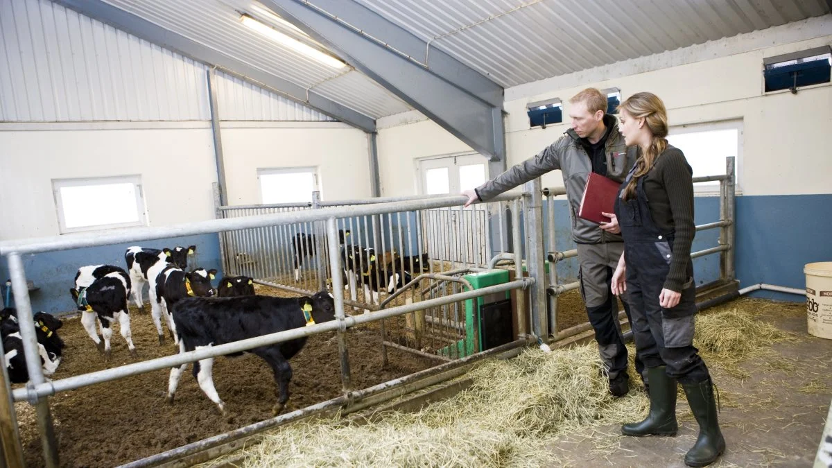 Når alle landets banker inden længe skal til at dokumentere deres landbrugskunders grønne profiler over for Finanstilsynet og EU, vil det få en betydning for, hvem der kan få lån i banken, og hvem der må gå tomhændet hjem.
