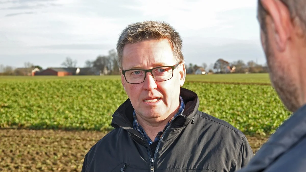 - De sorter, vi tilbyder fra DLF Beet Seed, kan høstes gennem hele sæsonen og egner sig ikke kun til en bestemt høstperiode, fortæller salgschef Ole Lauridsen. Foto: Ulrik Larsen