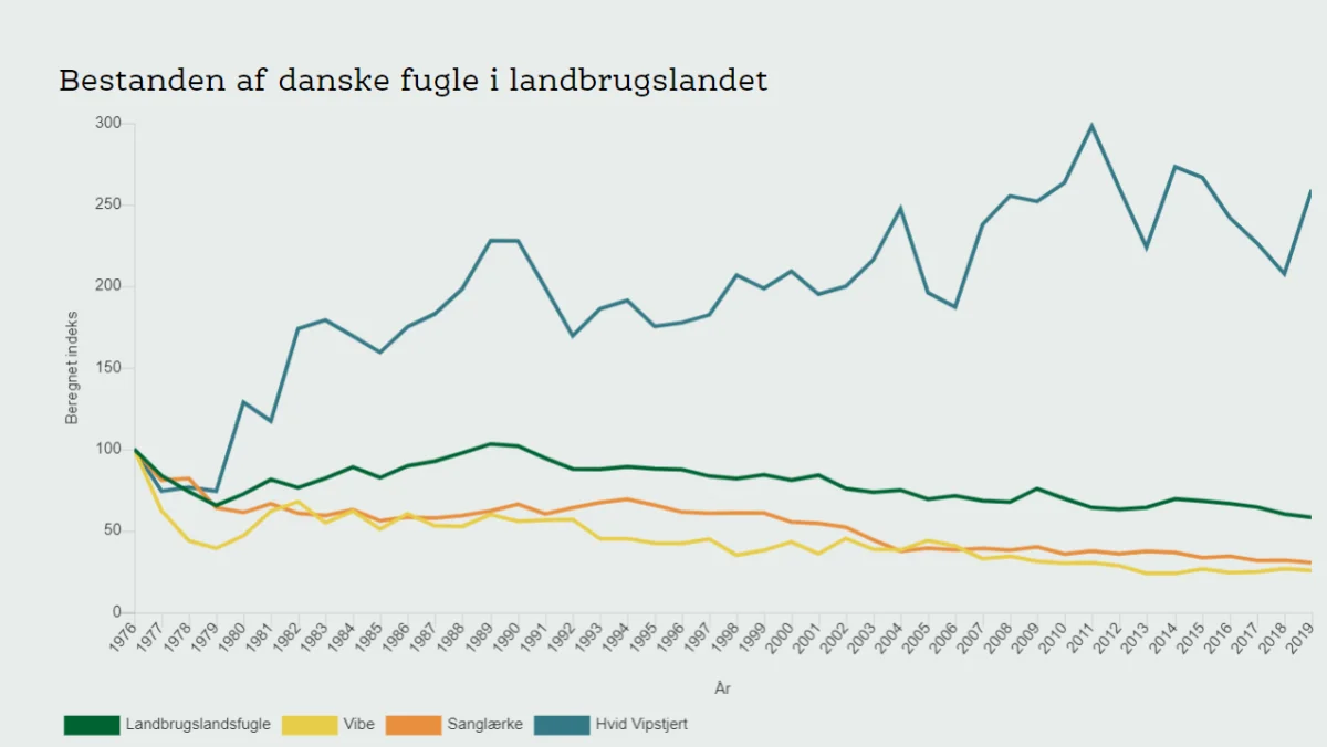 Beregnet indeks (y-aksen) for bestanden af danske fugle i landbrugslandet (22 arter) i perioden 1976-2019 (x-aksen) samt beregnet indeks for tre arter af landbrugslandsfugle. Tallene er baserede på Dansk Ornitologisk Forenings punkttællinger. Kilde: Miljøstyrelsen.