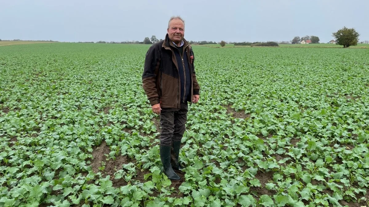 Falkensteen Gods ved Slagelse er blandt de fem gårde, der har DLG-forsøg i storskala-model. Her ses godsejer Carl Lawaetz i rapsmarken med sorten LG Austin i begyndelsen af oktober. Foto: DLG