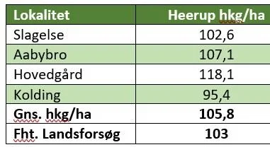 Til høsten i 2021 havde DLG hvedesorterne Heerup, Rembrandt og KWS Colosseum på fire af gårdene, og som det ses klarede sorterne sig generelt godt på alle lokaliteter. Kilde: DLG 