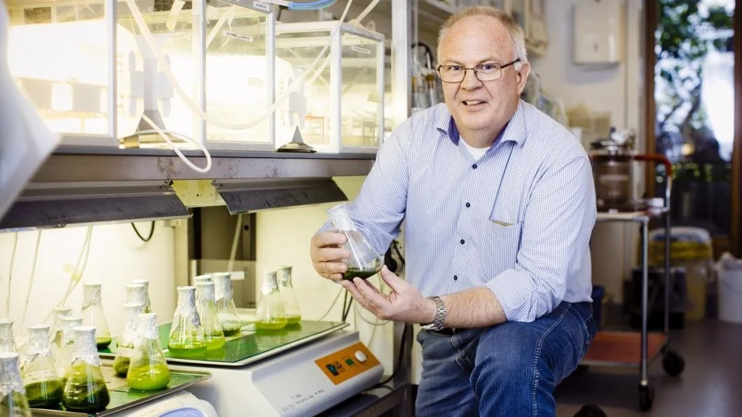 Professor i plantebaseret fødevarebiokemi Poul Erik Jensen mener, at der er et enormt potentiale i forståelsen af planternes egen brug af proteiner, når det kommer til fremtidens fødevareproduktion. Foto: Københavns Universitet (Claus Boesen)