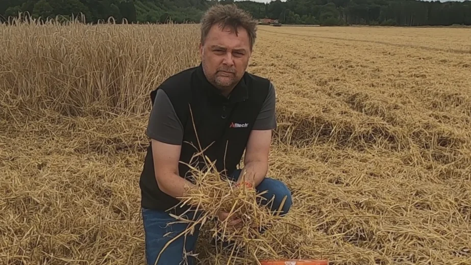 - Selvom det er rent halm, der dufter godt og har en god gylden farve, så kan der være mykotoksiner til stede, påpeger Per Laustsen fra Alltech. Foto: Alltech Danmark