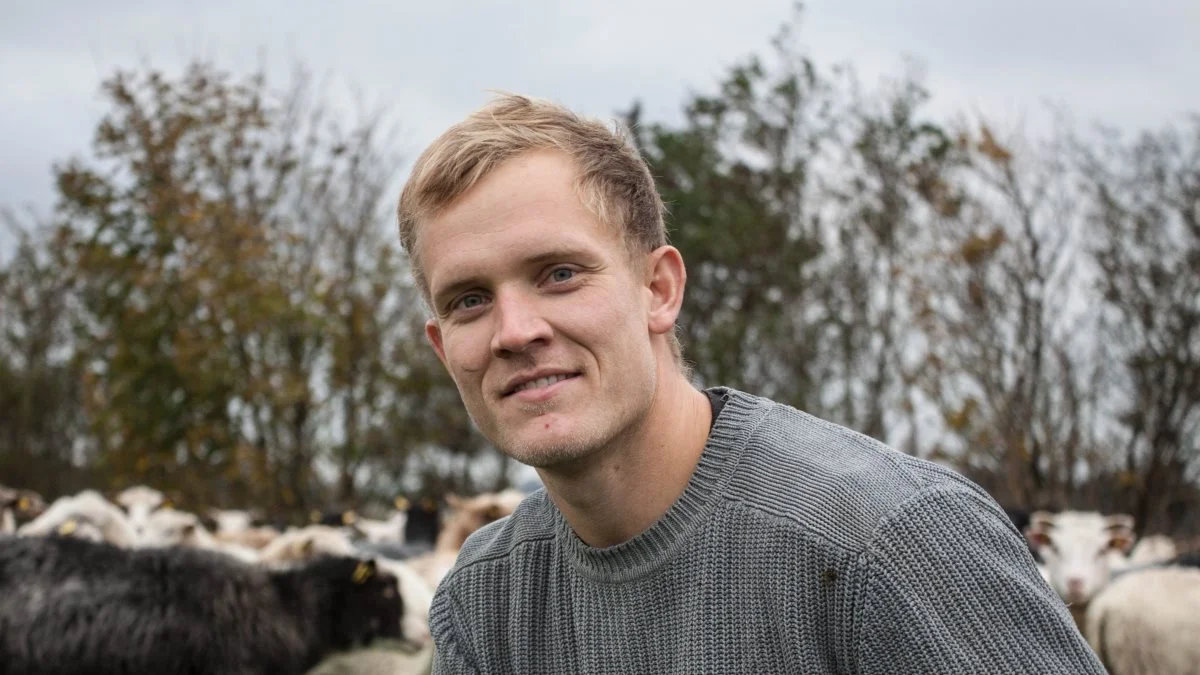 Fåreavler og naturplejer Kasper Ledet Hansen fra Mygdal ved Hjørring har sine 350 får gående til afgræsning i både beskyttede naturarealer og på almindelige græsmarker, som er i omdrift. 
På naturarealerne kunne han forbedre vilkårene for biodiversiteten, hvis ellers reglerne gav ham mere fleksible muligheder for at have dyrene gående. 
Se video om Kasper Ledet Hansens bøvl med reglerne, og om naturchef i Seges, Heidi Buur Holbecks, forslag til regelændringer på www.capidanmark.dk. 
