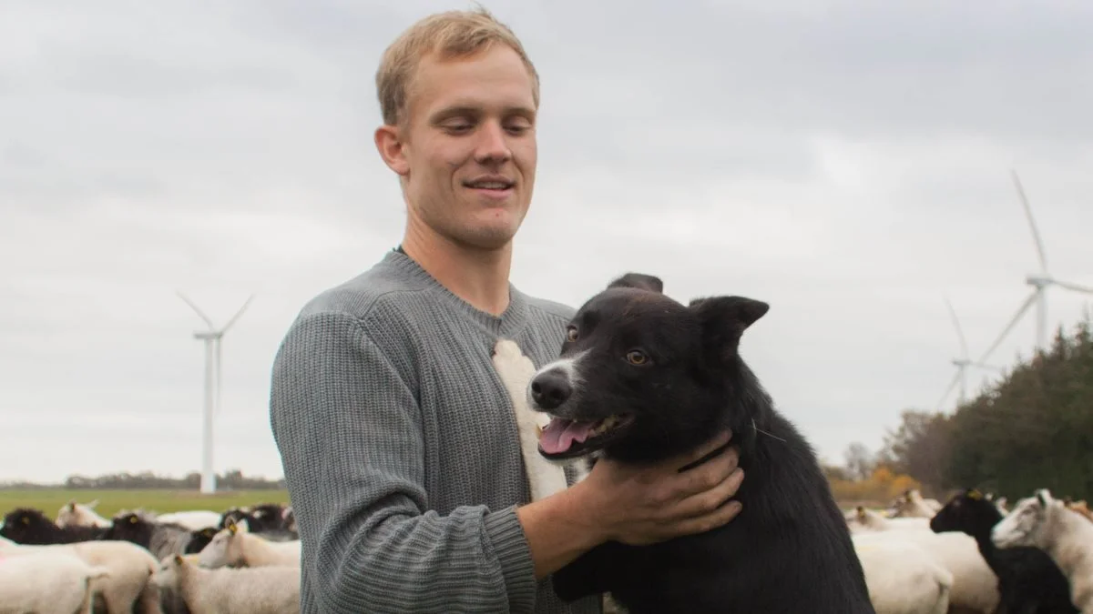 Kasper Ledet Hansen er både fåreavler og fåreklipper og naturplejer, ligesom han holder foredrag om det hele. Border Collien, Kevin, er medhjælper i bedriften som hyrdehund. 

