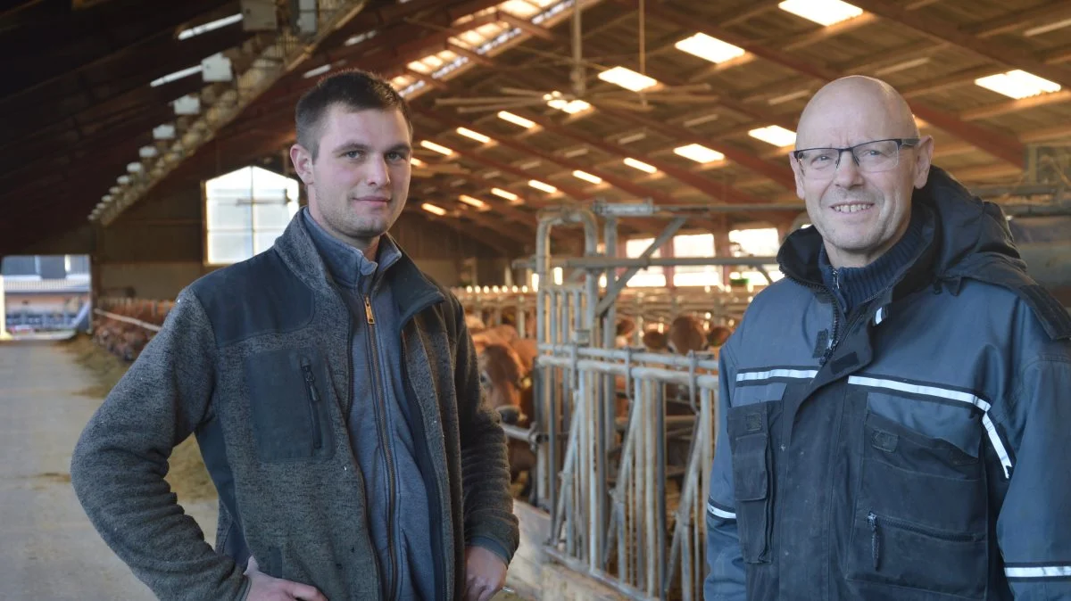 Mælkeproducent Hans Rasmussen på Ulvsbjerggård i Svenstrup ved Middelfart driver besætningen med de 300 jerseykøer plus opdræt, samt 250 hektar planteavl med god hjælp fra tre medarbejdere, hvoraf sønnen Jeppe Rasmussen varetager opgaven som fodermester. Fotos: Camilla Bønløkke
