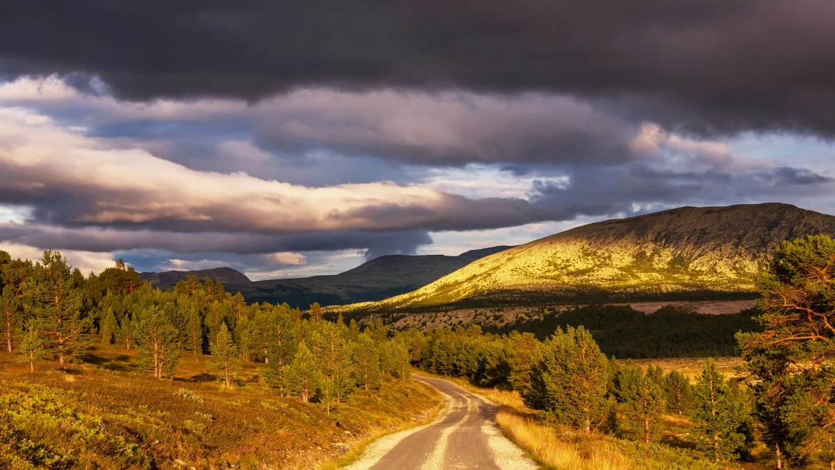 Mejeriet Tine skal ifølge det norske nyhedsmedie nearadio.no være med i et forsøg, hvor mælkeprøverne i stedet transporteres via droner gennem det bjergrige område. Foto: Colourbox