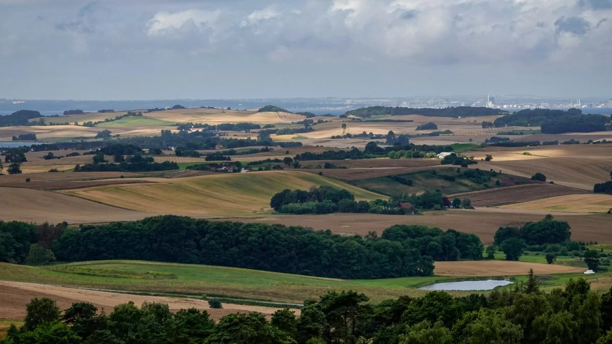 Agrovi og KF Miljø står bag KlimaPas, som skal hjælpe landmændene med at foretage fornuftige valg i fremtiden.