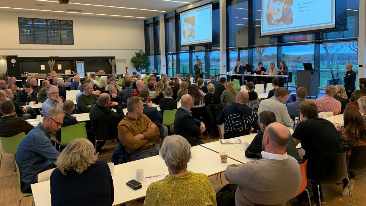 Godt 100 deltagere var på plads hos VKST i Sorø, hvor kvægproducenterne både var samlet til fælles indlæg og delt op i mindre grupper, der havde fokus på konkrete emner. Foto: Jesper Hallgren