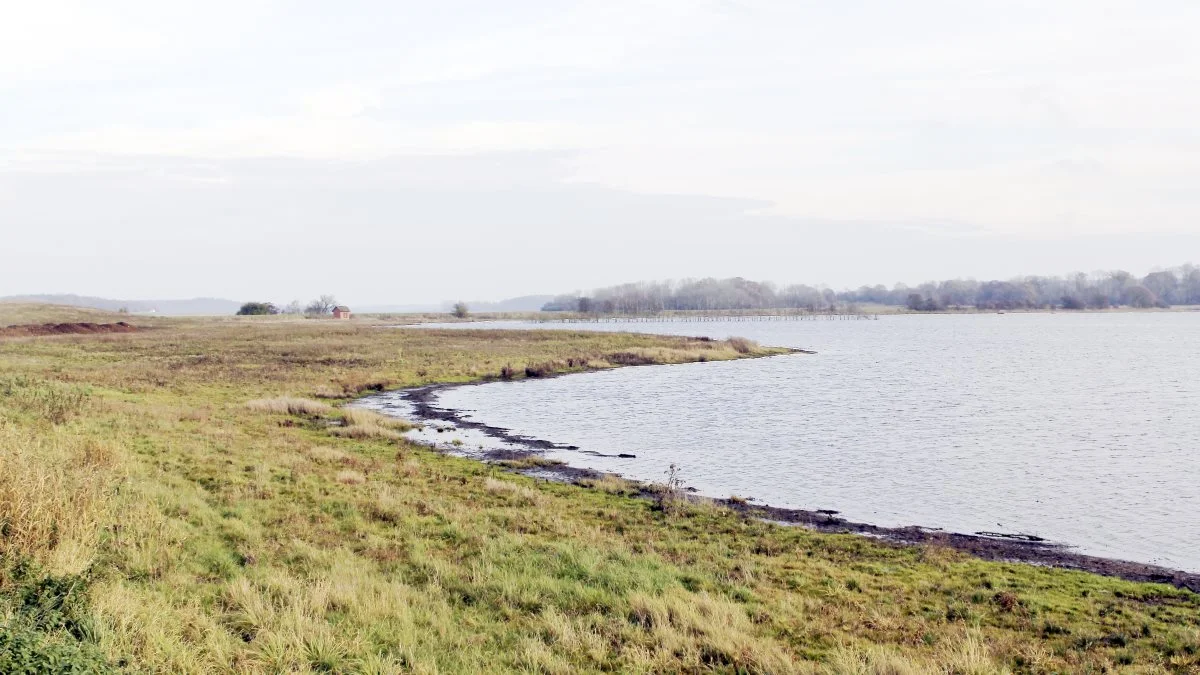 Der er nu fundet penge til de 33 landmænd, fonde og kommuner, der har ansøgt om tilskud fra den nye Klima-Lavbundsordning. Arkivfoto: Lasse Ege Petersen.