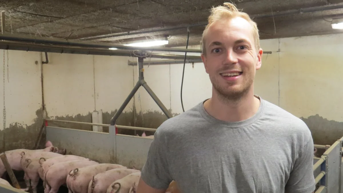 - Skal man producere svin med hele haler, sparer man den tid, der går med at klippe haler. Til gengæld skal der bruges en lille smule ekstra tid på opsyn. Det er i øvrigt noget, som personalet skal trænes i, siger Joachim Clausen. Foto: Erik Kjærgaard Christensen