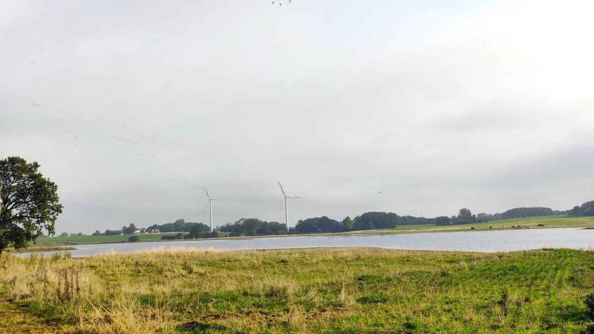 Assens Kommune og den fynske landboforening L&F Centrovice danner nu et klimapartnerskab - det første af sin slags omkring landbrugsområdet på Fyn. Arkivfoto