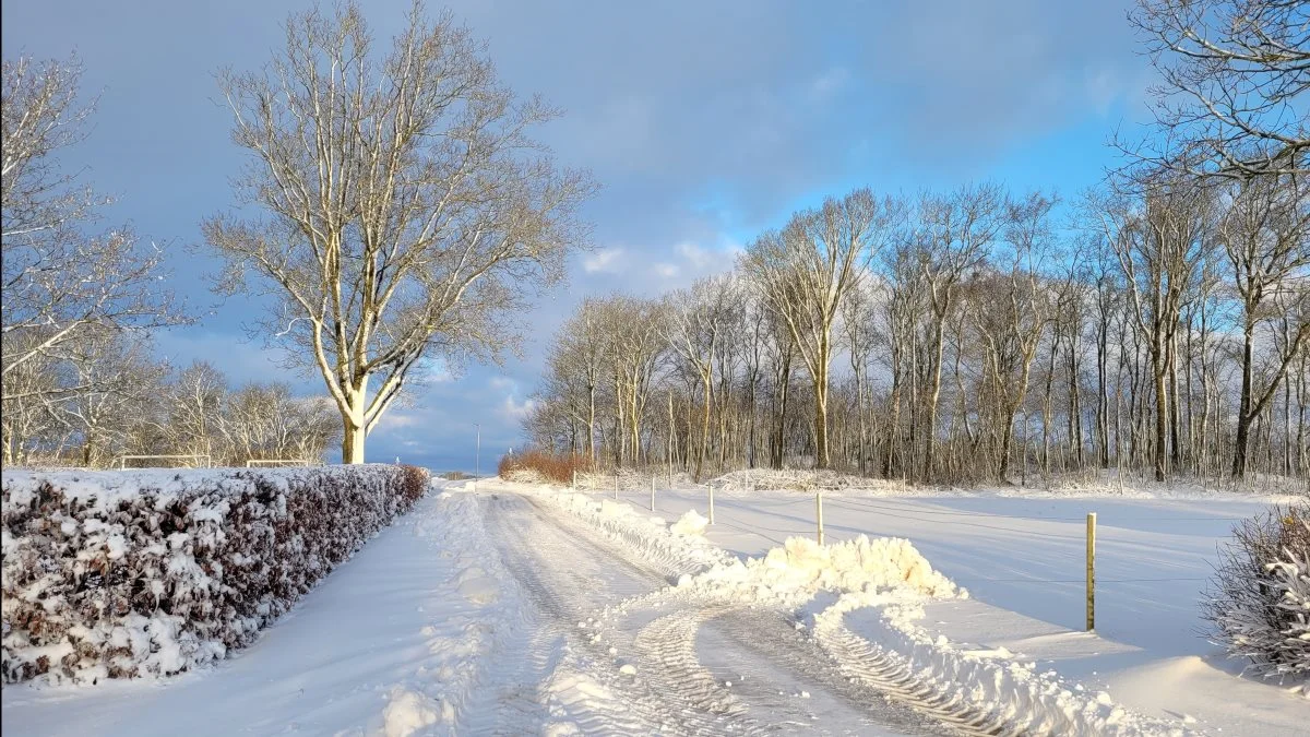 Gundersted mellem Aars og Nibe i Vesthimmerland. Foto: Line Brusgaard