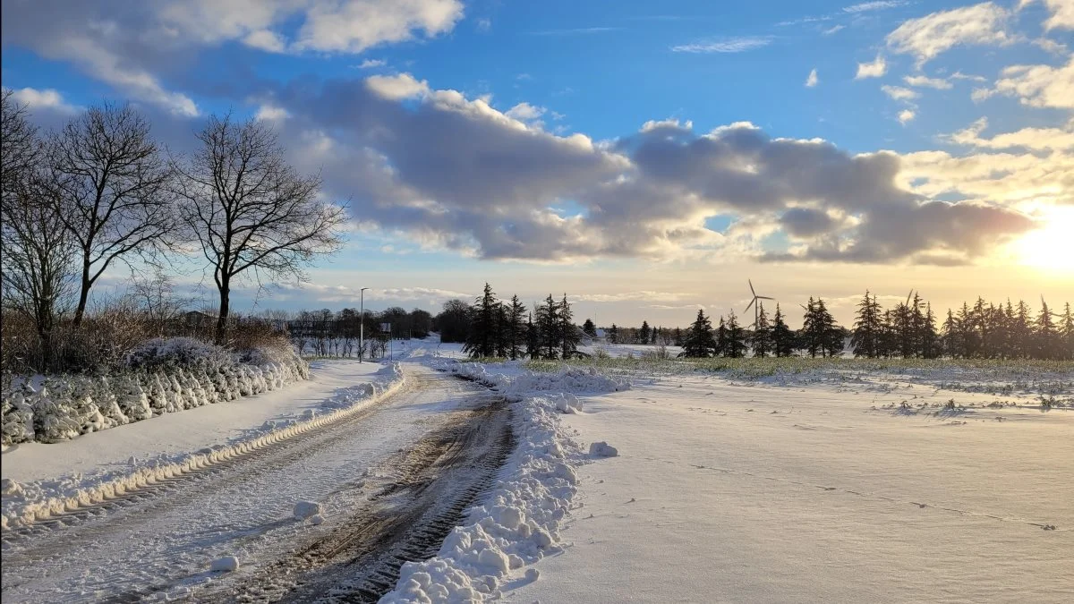 Gundersted mellem Aars og Nibe i Vesthimmerland. Foto: Line Brusgaard