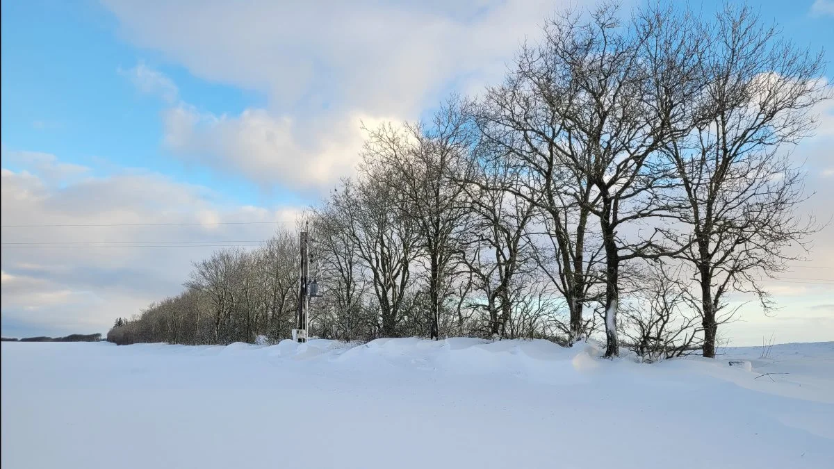 Gundersted mellem Aars og Nibe i Vesthimmerland. Foto: Line Brusgaard