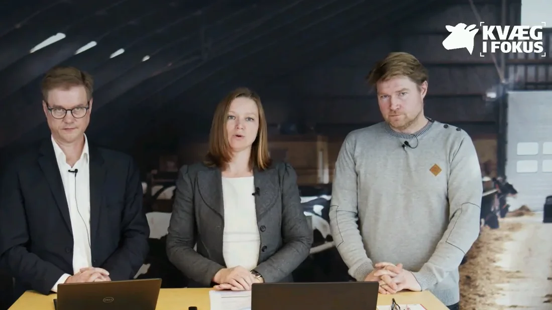 I webinaret »Køer og klima – hvor står vi, og hvad kan vi gøre?«  stillede sektordirektør for Kvæg, Ida Storm, skarpt på landbrugsaftalen om grøn omstilling, og hvad det betyder for kvægbruget. Hans Thygesen, klimachef i Seges (tv.) og Nicolaj Ingemann Larsen, chefkonsulent, bakkede op om, at der allerede er tiltag i gang for at hjælpe kvægbruget med klimaløsninger. 
