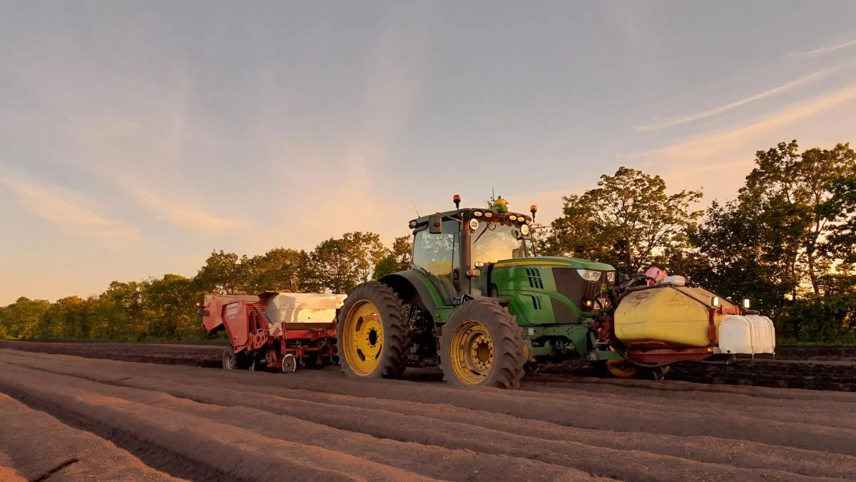 Den økologiske gødning Fertikal placeres fem centimeter under kartoflen ved lægning. Keld Kjærsgaard har ombygget sin traktor, så den kører med en hjulafstand på 3,3 meter. Dermed undgår han at køre i det løse jord til kartoflerne og lave trykningsskader. Privatfoto