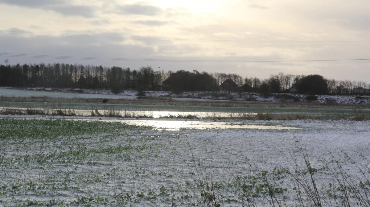 Udtagning af lavbundsarealer er blandt de tiltag, der kan medvirke til at reducere CO2-udledningen fra landbruget. Derfor har landmand Claus Skjellerup fra Verninge indgået aftale om en mulig udtagning. 
