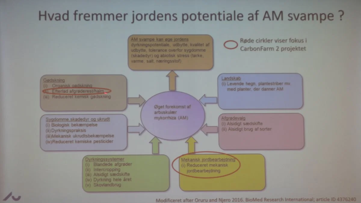 Grafisk fremstilling af hvilke faktorer, der fremmer jordens potentiale for mykorrhiza-svampen. Kilde: Sabine Ravnskov.