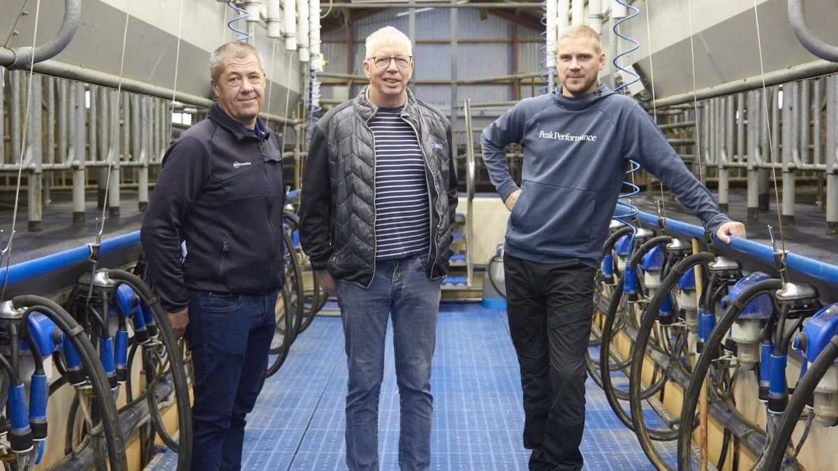 Det er to år siden, at Andreas Vestergaard (th.) og Anton Vestergaard skiftede deres malkerobotter ud med en malkestald. For dem var det den helt rigtige beslutning. Bedriften er fremtidssikret og Andreas klar til at overtage fra nytår. Michael Kjeldahl Jensen fra SAC Center Nord (tv.) oplever flere, som skipper robotterne til fordel for en malkestald. Fotos: Tenna Bang