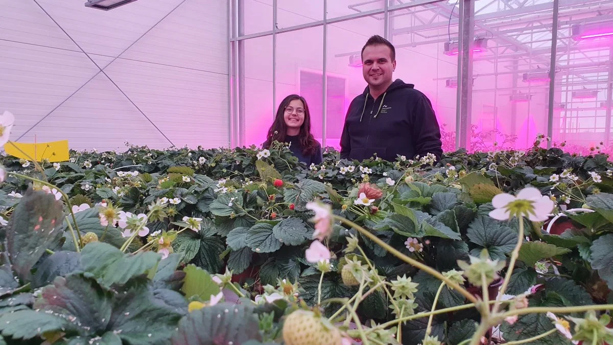 Her ses projektleder Alexandru Luca sammen med en kvindelig kollega. Foto: Aarhus Universitet